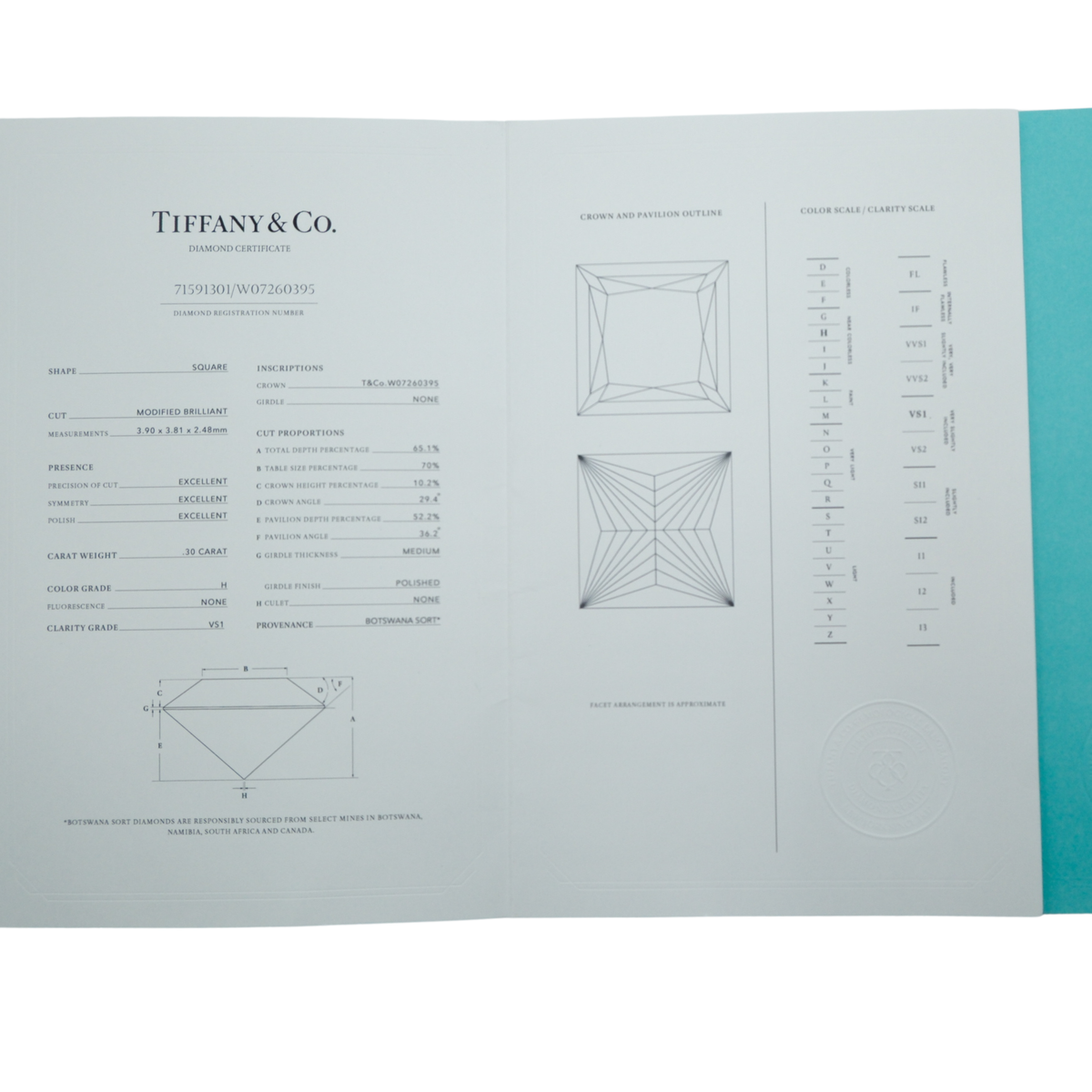 Tiffany & Co. Novo® Princess-Cut Diamond Engagement Ring